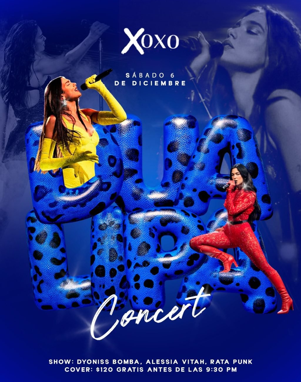 WhatsApp Image 2025-12-04 at 20.30.22